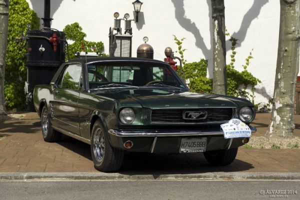 2_cabalgada-mustangs-2014-009