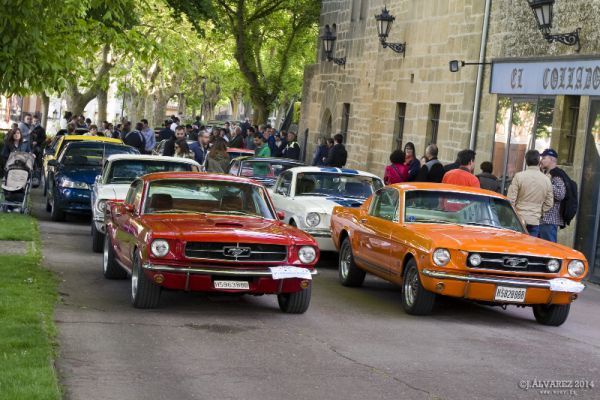 2_cabalgada-mustangs-2014-016