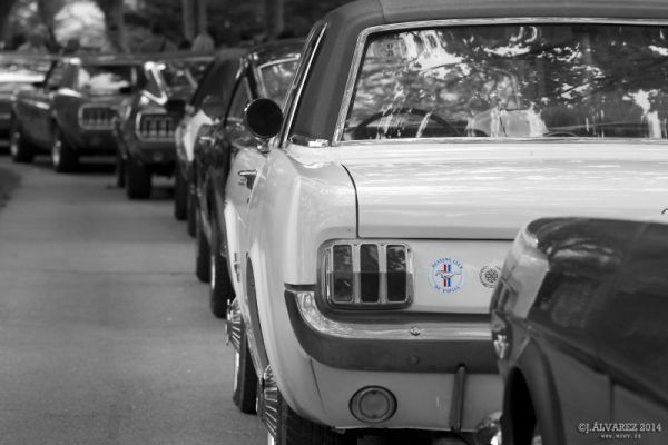 2_cabalgada-mustangs-2014-017