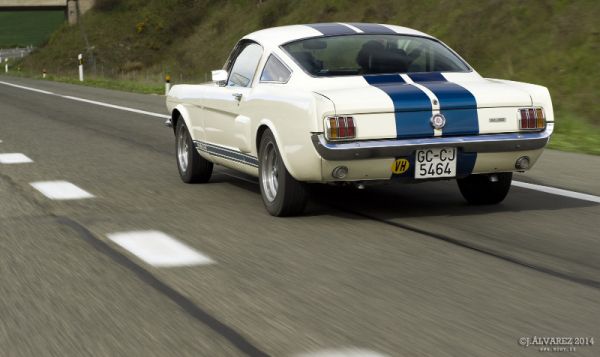 2_cabalgada-mustangs-2014-019