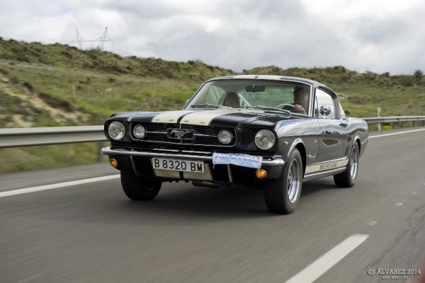 2_cabalgada-mustangs-2014-027