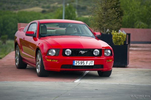 2_cabalgada-mustangs-2014-030
