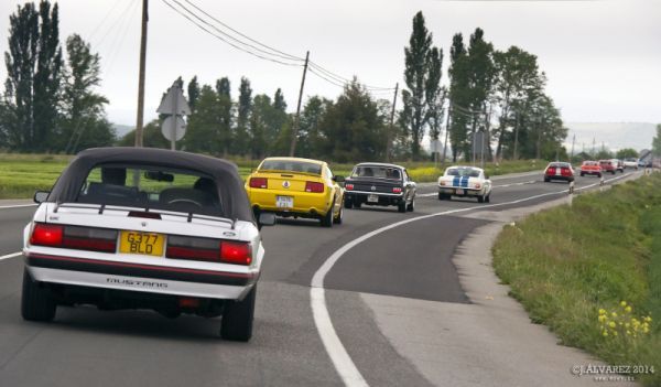 2_cabalgada-mustangs-2014-031