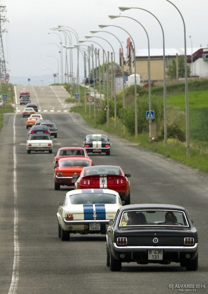 2_cabalgada-mustangs-2014-032