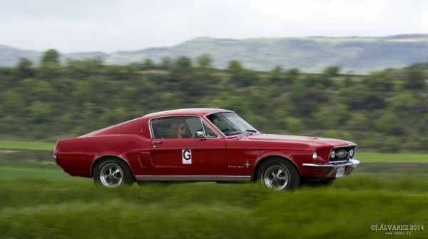 2_cabalgada-mustangs-2014-038