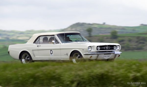 2_cabalgada-mustangs-2014-039
