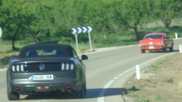 1_DSC04588