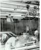Mustang-assembly-plants-10