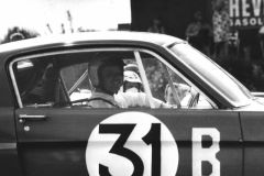 Galería artículo shelby gt350