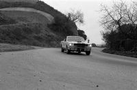 Cantwell-04