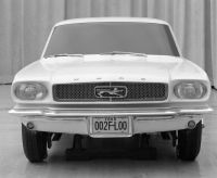 Gale-Halderman-Mustang-Cougar-1