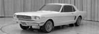Gale-Halderman-Mustang-Cougar-3