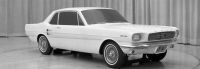 Gale-Halderman-Mustang-Cougar-4