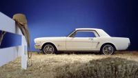 Gale-Halderman-Mustang-hardtop