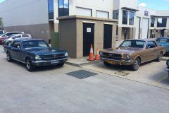 Galería Los Otros Mustangs