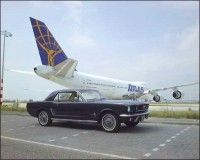 Mustang-Holanda-Erik-Bromm