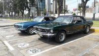 Mustang-Perú-6