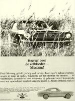 Mustang-anuncio-Holanda
