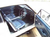 Mustang-australia-2