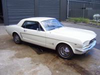 Mustang-australia-4