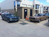Mustang-australia-5