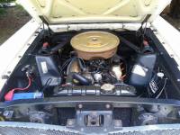 Mustang-australia-vano-motor-289-de-serie