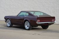 Mustang-shorty-3