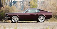Mustang-shorty-5