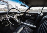 Mustang-shorty-6