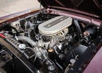 Mustang-shorty-7