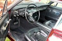 Mustang-shorty-8