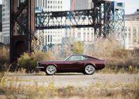Mustang-shorty-9