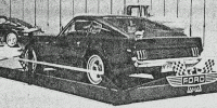 Mustang-shorty-expuesto