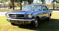 Mustang-Ferguson-0