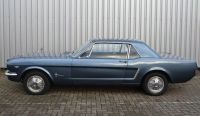 Mustang-Ferguson-1