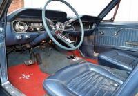 Mustang-Ferguson-3