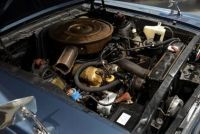 Mustang-Ferguson-4
