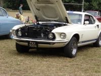 Mustang-Ferguson-69-1