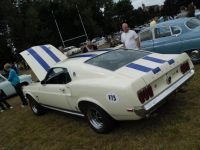 Mustang-Ferguson-69-6